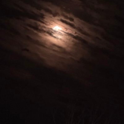 Samuel33205186's profile picture. 