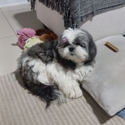 JackieTk06's profile picture. 
