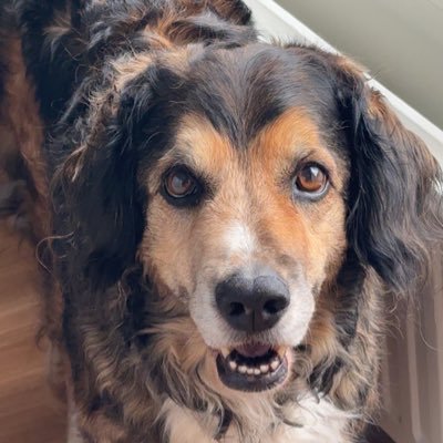 lundqv48179's profile picture. 