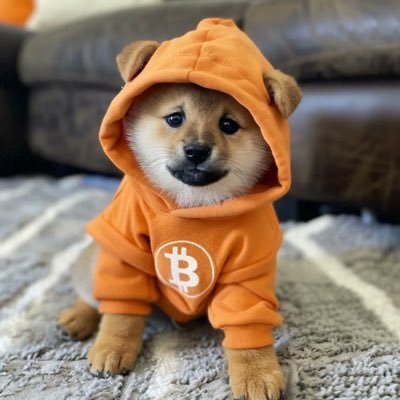 nr1memeonbtc's profile picture. If memes are a major force in crypto, then the biggest meme should live on #Bitcoin