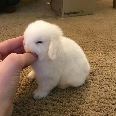 susana021170's profile picture. Sometimes later becomes never. Do it now.