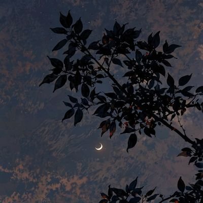 SimnFelipe90184's profile picture. 