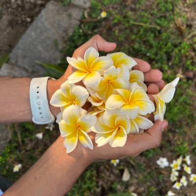 dhruvlenka's profile picture. 25 | engineer, tech, gym-freak, traveler, photography