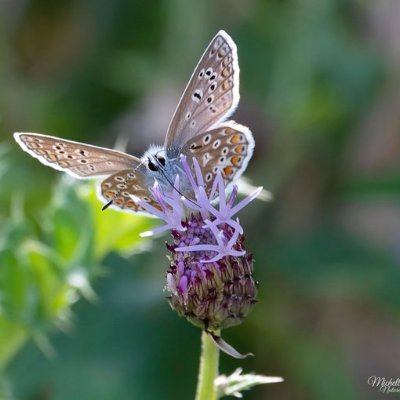 Skye0033221's profile picture. 🌸 Classy & Confident                                                                     💫 Simple & Sweet