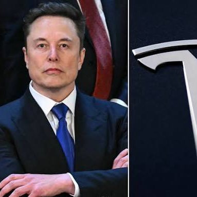 elonmusk95358's profile picture. CEO OF TESLA