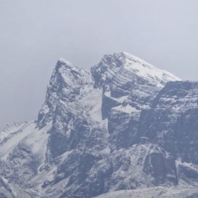 abuelasricas1's profile picture. 