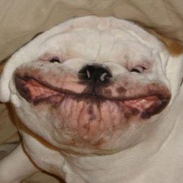 tweak1x's profile picture. Lisan Al Gaib | 22 year old chiseled gazelle hand crafted from god