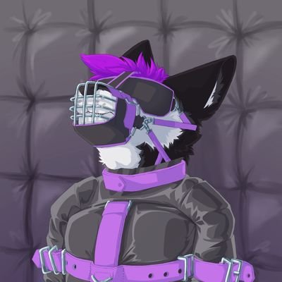 Nikruさんのプロフィール画像