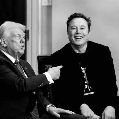 xmusk3648's profile picture. 