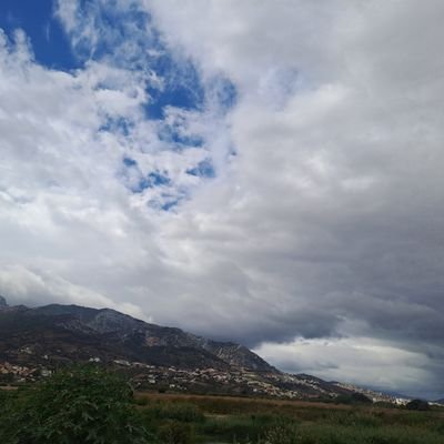 Sarah_1211m's profile picture. Physical medicine and rehabilitation