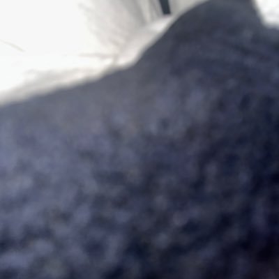 ChiragK86204's profile picture. 