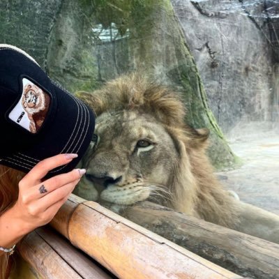 Jooj6e's profile picture. ملكة الغابة، بس أعيش كني مواطن عادي