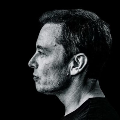 reevepage5563's profile picture. ＣＥＯ ＴＥＳＬＡ😎🚀🪐🚘