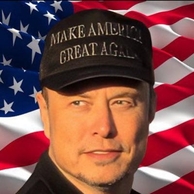 privateChat8821's profile picture. let’s make America great 🇺🇸🇺🇸