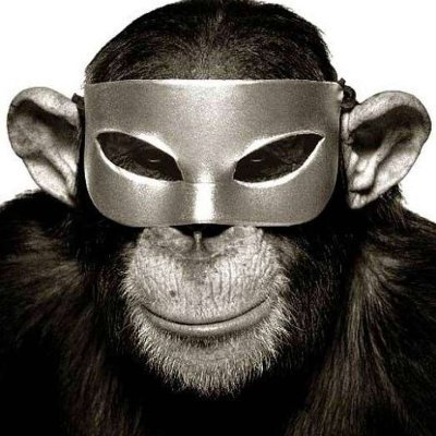 yukimura_v11's profile picture. 