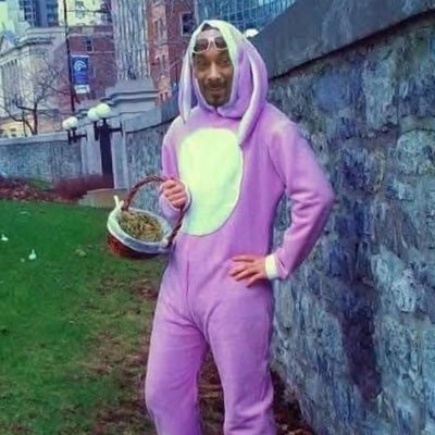 hvymtlpegasus's profile picture. 29. Pansexual hedonist. Mostly dom. Dm if you’d like. Down for whatever :) 🍃🔥