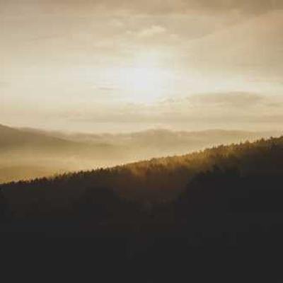 TydingsF32636's profile picture. 