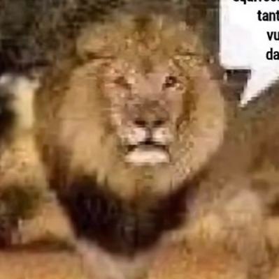 Hokage_De_Bangu's profile picture. Física Médica-UFRJ 
Bangu City