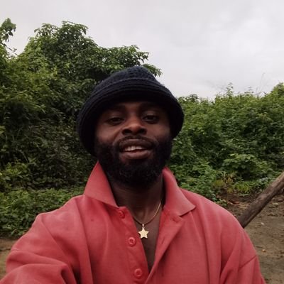 DinoForez's profile picture. 