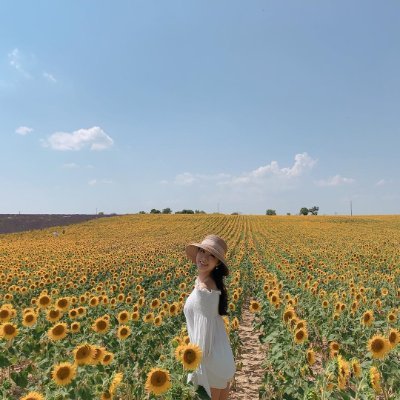 TuxedoGenerico's profile picture. Investing is not just about wealth; it’s about having the freedom to choose your future.