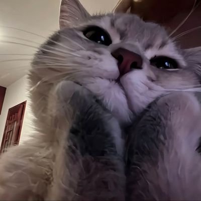 hadehadadaaja's profile picture. akun nya masi idup