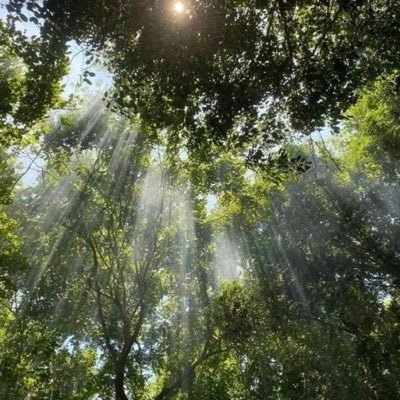 aldaihani_d's profile picture. من قديم عناية الله جندي