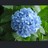 suguk25's profile image