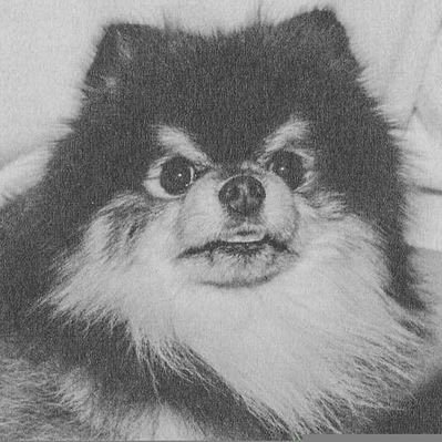 thvmoi's profile picture. 지민 & 태형님