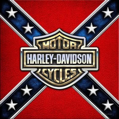RebelBikerFTW's profile picture. ✠. Patriotism is love of country, not love of government.  FTW for life.  Ride Hard, Live Free ✠