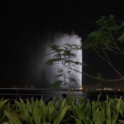 alfrj3874's profile picture. 