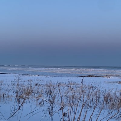 17729alo's profile picture. 東海大学 3C