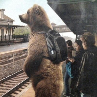 Muheezszn's profile picture. Living for the life