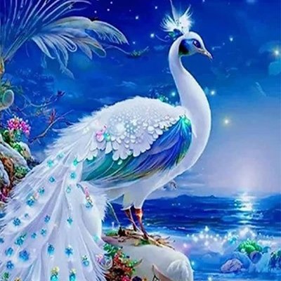 chatiran5387's profile picture. 