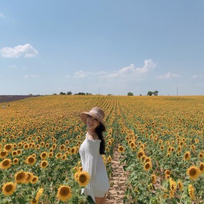 Rose63923390's profile picture. 