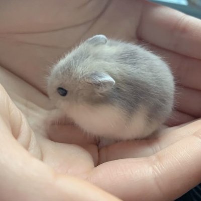 Quinn529854's profile picture. Strive for progress, not perfection.