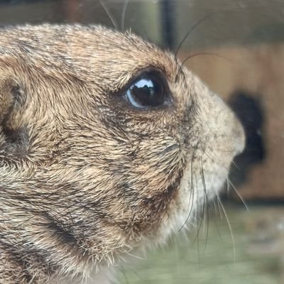 G3IjK1IzSi17466's profile picture. 院試/物理志望