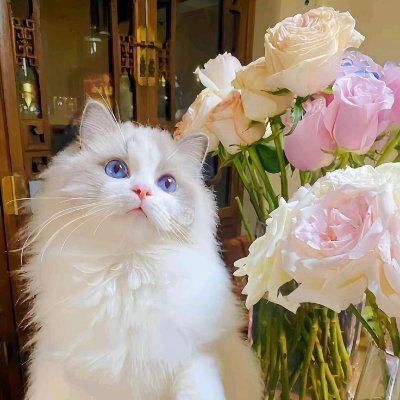 Kate534l's profile picture. ▒░⡷⠂💞🌸💞🌸💞 ⠐⢾░▒
I love traveling more than anything! 🌍✈️
Exploring new cultures, foods, and people makes me feel alive.💖
My dream is to travel the whole