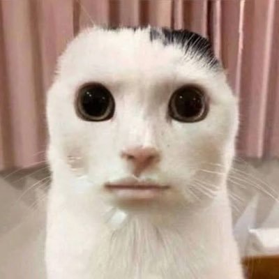 _ABLIGHT's profile picture. 