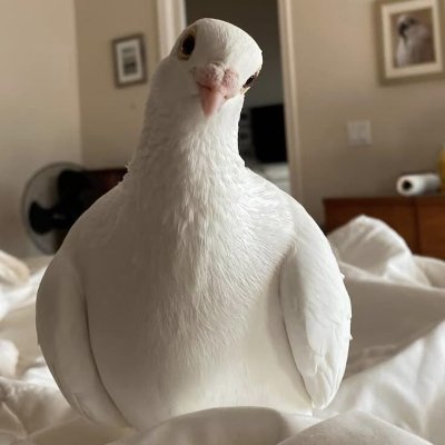 Paisley7515's profile picture. Inspire and be inspired