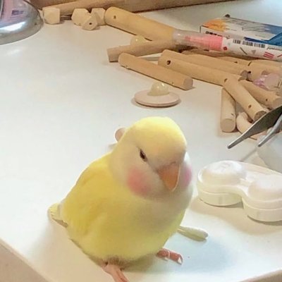 charlotte546788's profile picture. Elegance is when you shine without trying 💎💁‍♀️