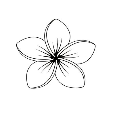 fashionshopllc's profile picture. you are fashion