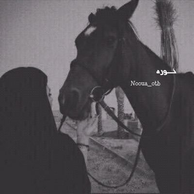 Noona_otb's profile picture. 