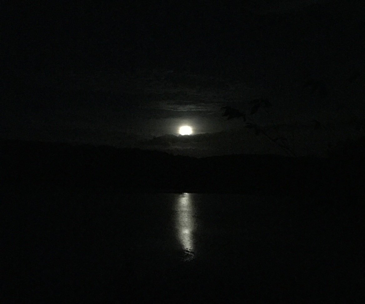 Ranchontheside's profile picture. 