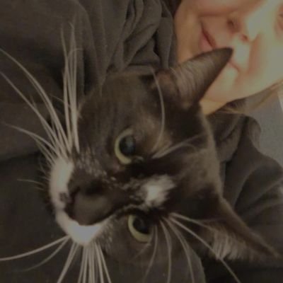 izomeraz's profile picture. 🇹🇷