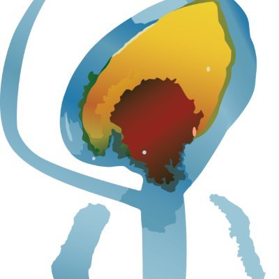 SHINGVLRR's profile picture. 