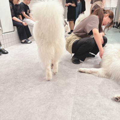 6rsazl's profile picture. 秋田市 会える人いたらお願いします🤲 1人に会うのが目標です！ＮＮも好きです！