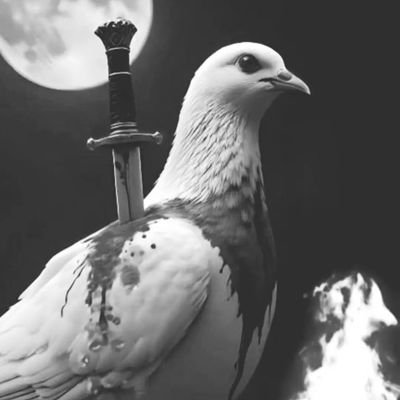 NoraMahmou17283's profile picture. عائد من خطوةٌ خاطئه، أحملُ تعب الطريق كلهُ معي