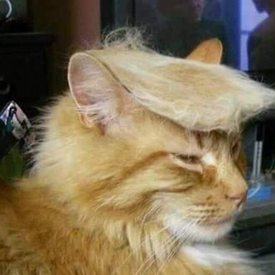 bernskem2023's profile picture. 