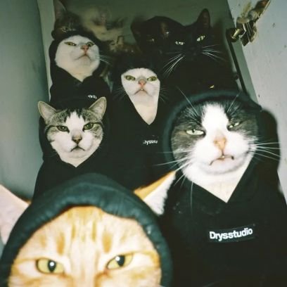 allnallprv's profile picture. Adicto al porno 😵‍💫🥵😈
👑⛓️🖤😈🐽👊🏻🩸