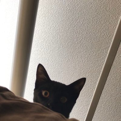 yunfvld's profile picture. 